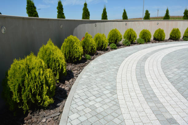 Best Driveway Pavers Near Me  in Mountain House, CA